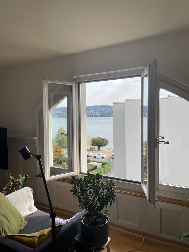 Dachwohnung in Thalwil in Seenähe (7)