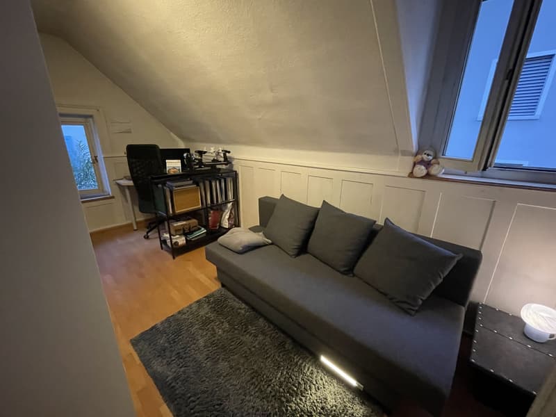 Dachwohnung in Thalwil in Seenähe (1)