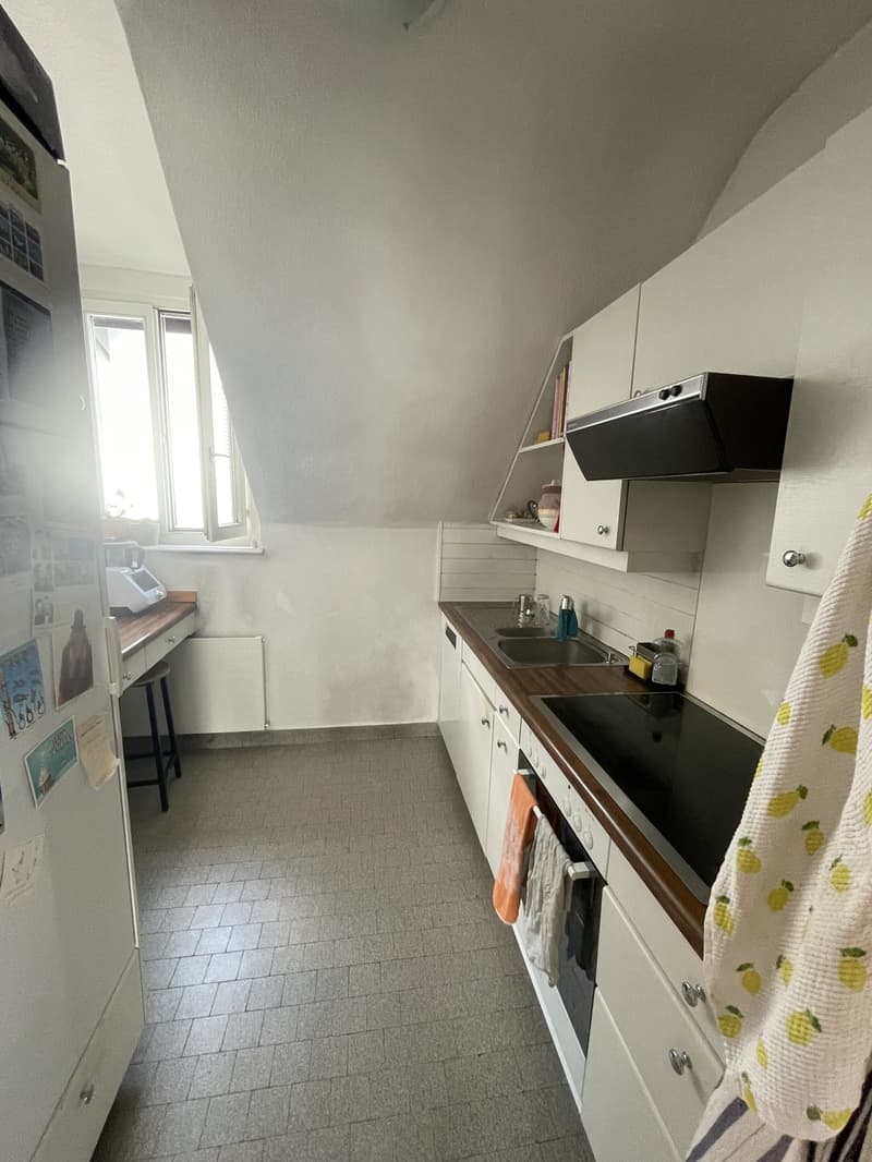 Dachwohnung in Thalwil in Seenähe (6)