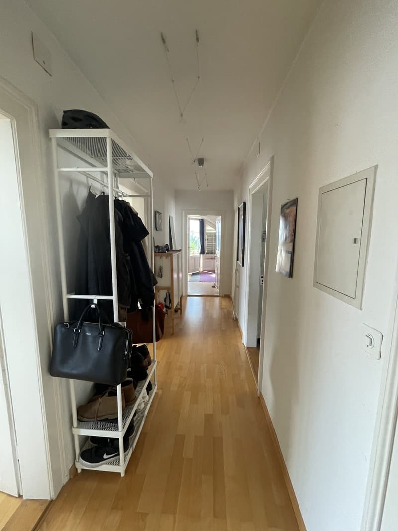 Dachwohnung in Thalwil in Seenähe (12)