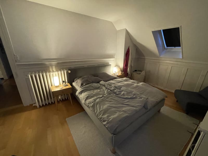 Dachwohnung in Thalwil in Seenähe (8)