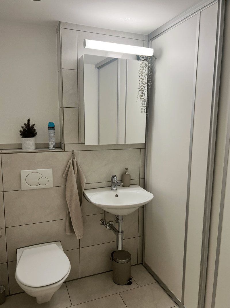 Charmante 3½-Zimmer-Wohnung im Herzen der Altstadt von Mellingen (9)