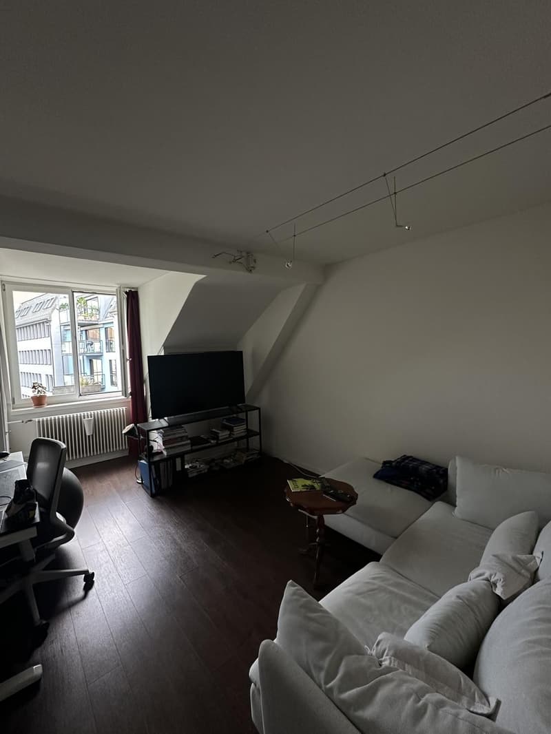 Zwischenmiete September Zentrale WG in Züri Stadt (6)
