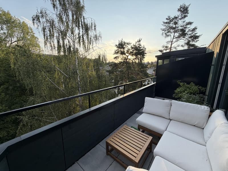 Helle 3½-Zimmer-Attikawohnung mit drei Balkonen und Weitsicht (6)