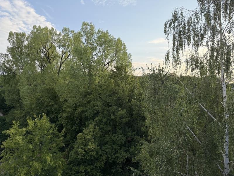 Helle 3½-Zimmer-Attikawohnung mit drei Balkonen und Weitsicht (7)