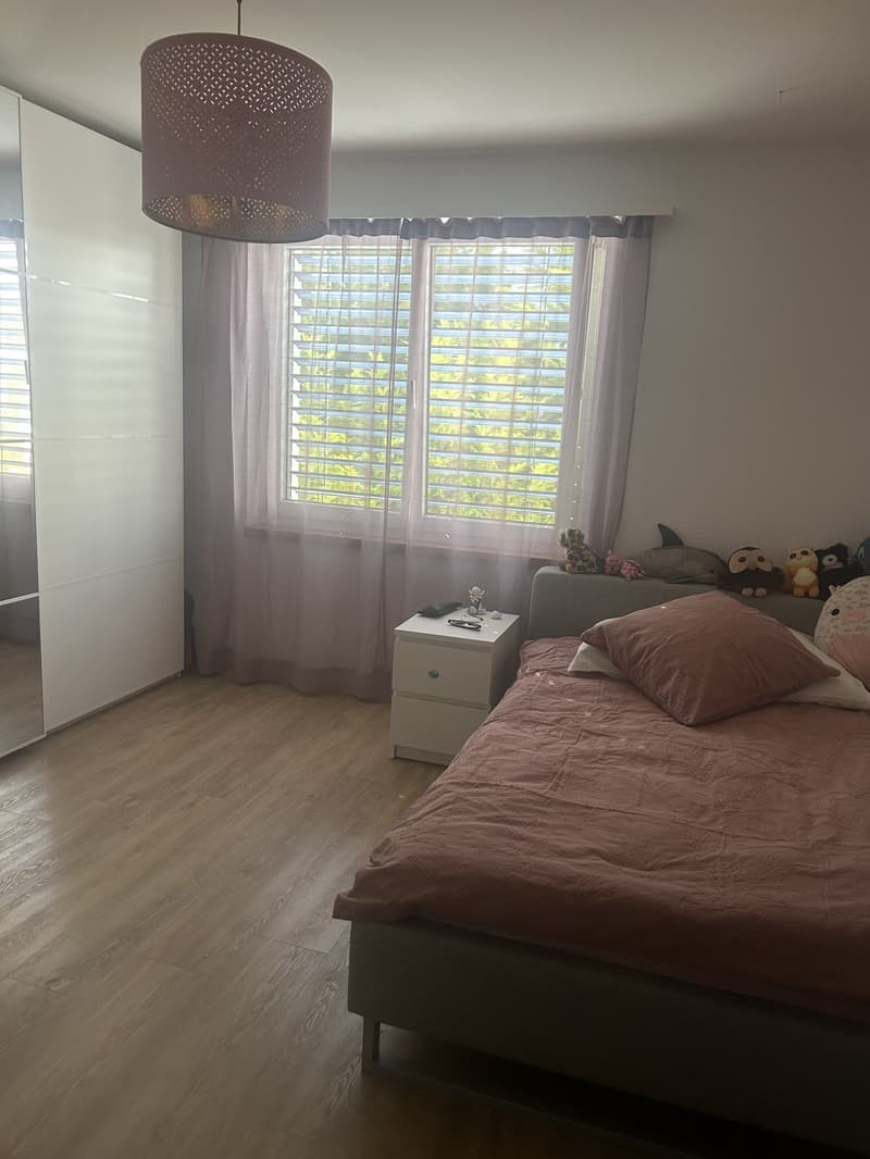 5 Zimmer-Wohnung, 5415 Nussbaumen (1)