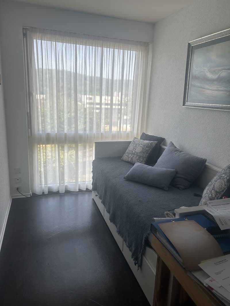 5 Zimmer-Wohnung, 5415 Nussbaumen (4)