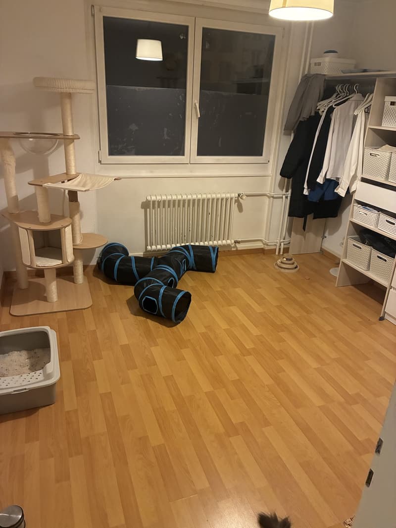 Recherche coloque idéal (2)