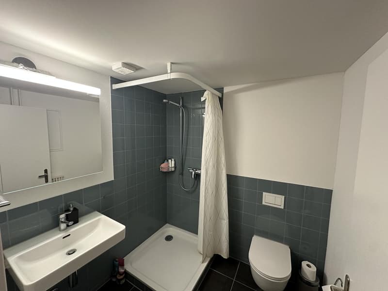 3 ½ Zimmer-Wohnung, 8623 Wetzikon ZH (5)