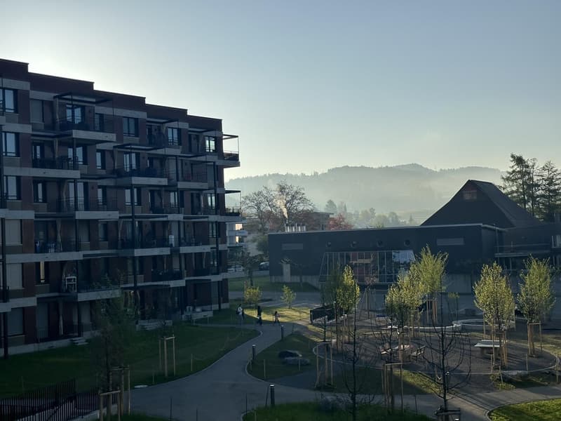 3 ½ Zimmer-Wohnung, 8623 Wetzikon ZH (2)