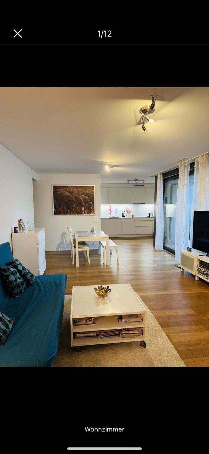 Modern 2.5 room apt., 72 sqm, huge balcony, garage and private washing machine. Permanent lease (4)