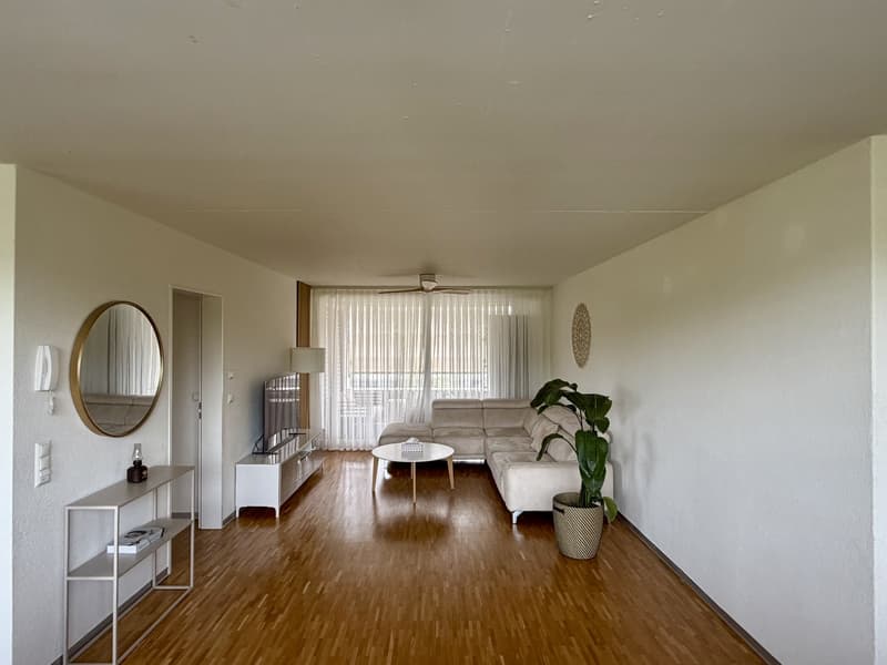 Helle 3.5-Zimmer-Wohnung, ca. 95 m² 3 Min. zum Bahnhof Schlieren (9)