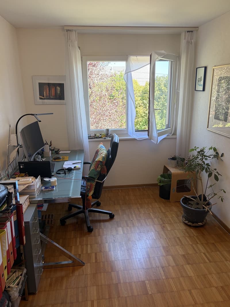 Grosszügige 4.5-Zimmer-Wohnung an zentraler Lage (12)