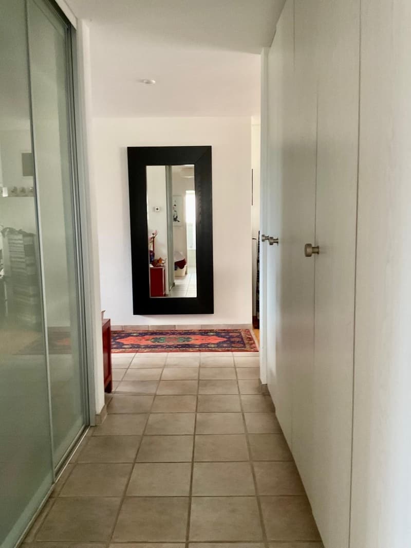 Grosszügige 4.5-Zimmer-Wohnung an zentraler Lage (13)