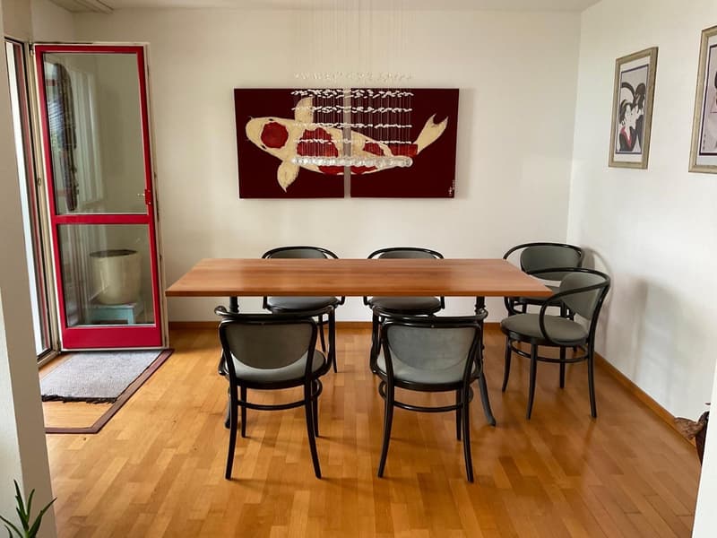 Grosszügige 4.5-Zimmer-Wohnung an zentraler Lage (3)