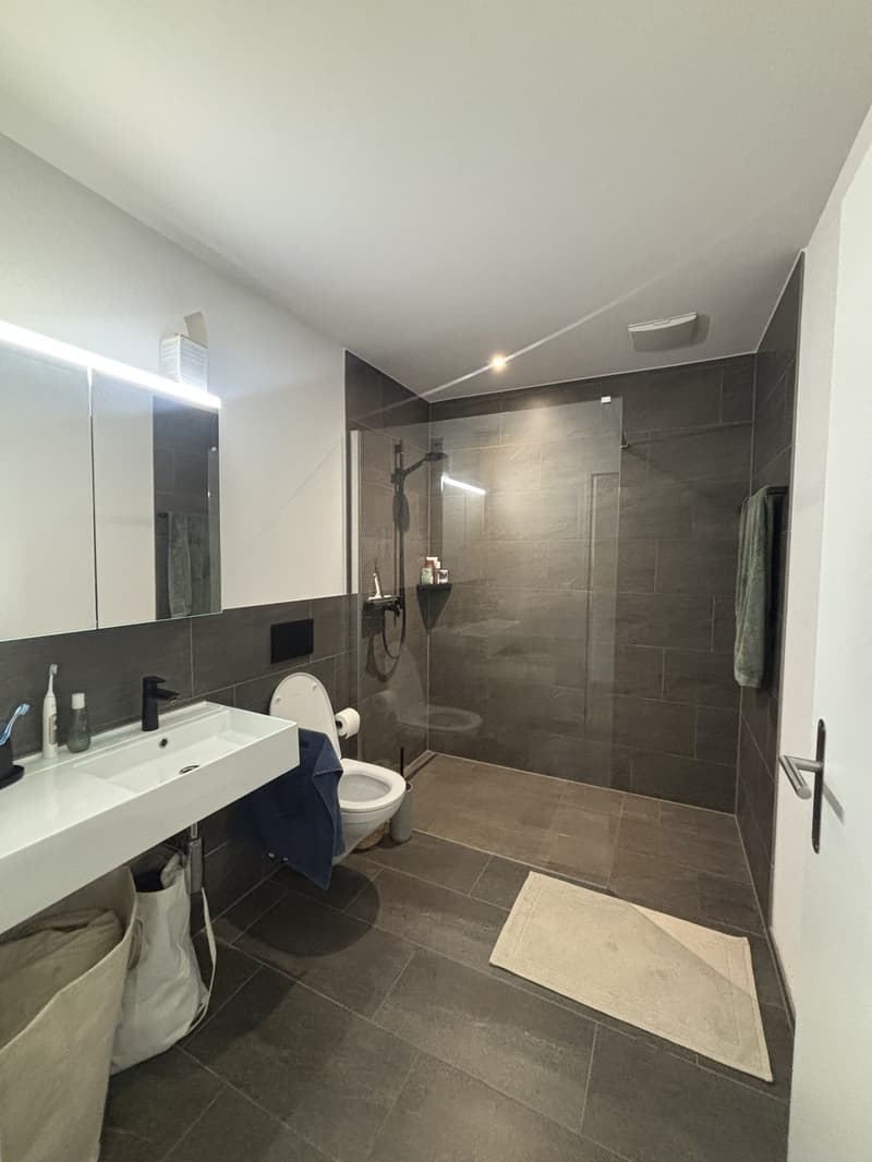 2 ½ Zimmer-Wohnung, 6010 Kriens (3)