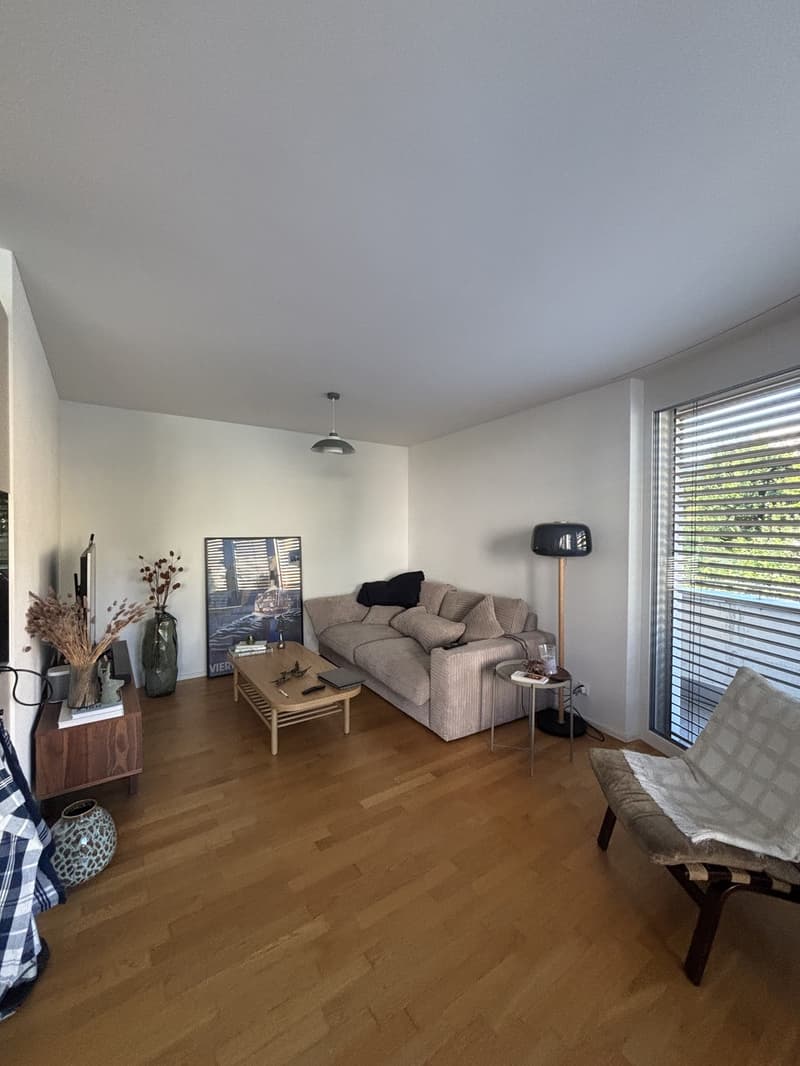 2 ½ Zimmer-Wohnung, 6010 Kriens (2)