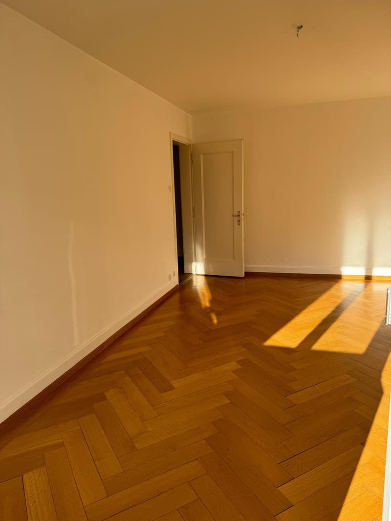 Zentral gelegene 2-Zimmer-Altbauwohnung (2)