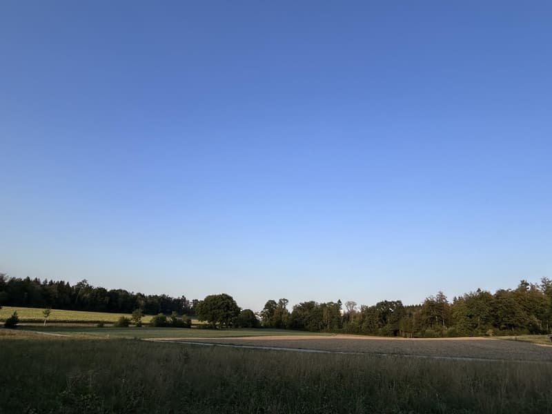 Ein Zimmer mit Aussicht (2)