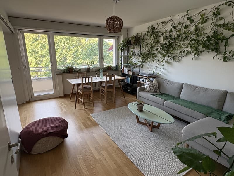 3.5 room furnished flat in Schmiede Wiedikon - Sept 6 - Oct 21 (flex) (2)