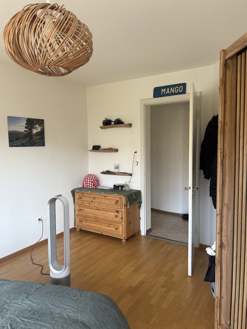 3.5 room furnished flat in Schmiede Wiedikon - Sept 6 - Oct 21 (flex) (6)