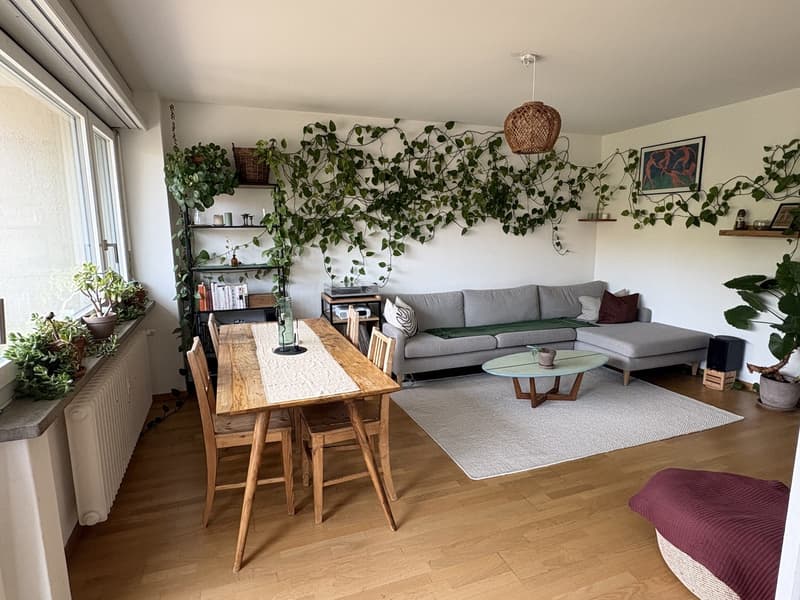 3.5 room furnished flat in Schmiede Wiedikon - Sept 6 - Oct 21 (flex) (1)