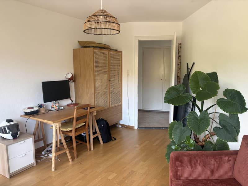 3.5 room furnished flat in Schmiede Wiedikon - Sept 6 - Oct 21 (flex) (4)