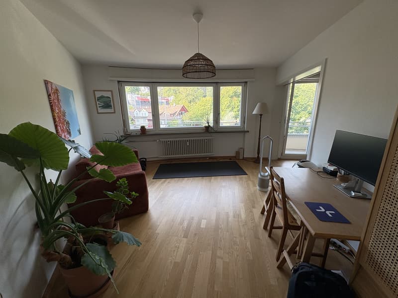 3.5 room furnished flat in Schmiede Wiedikon - Sept 6 - Oct 21 (flex) (3)