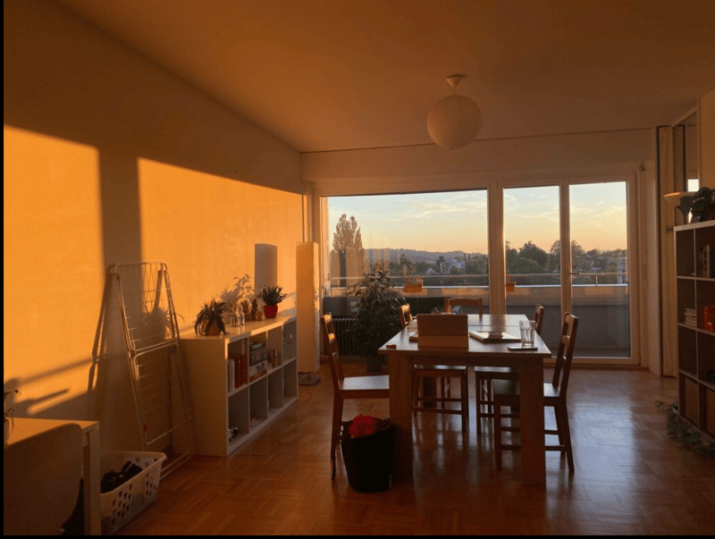 WG-Zimmer mit großem Wohnzimmer und Küche (2)