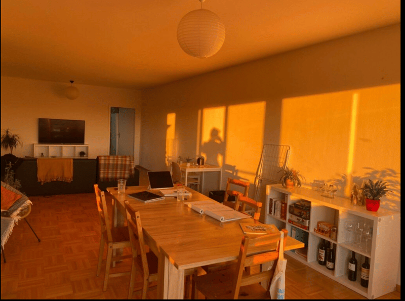 WG-Zimmer mit großem Wohnzimmer und Küche (3)