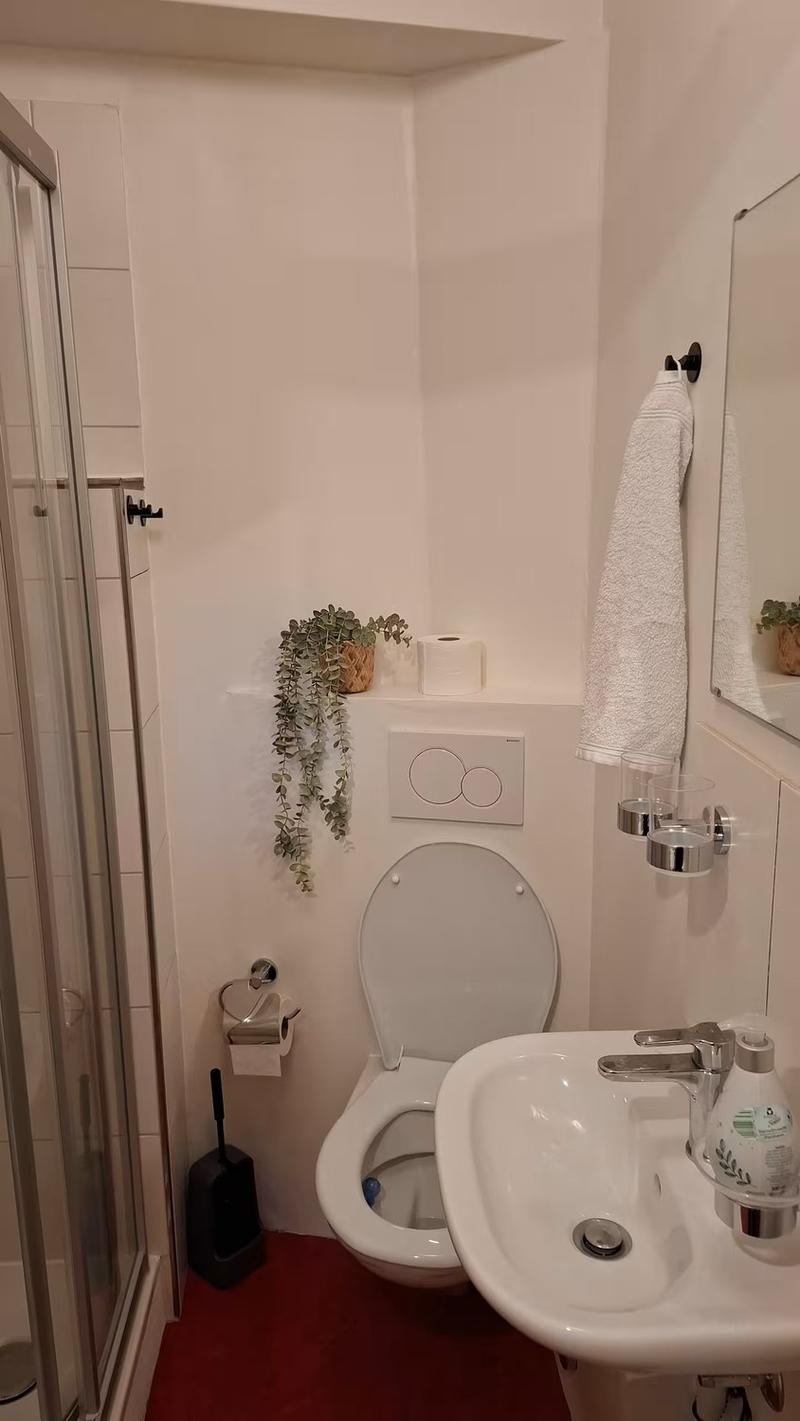 Möblierte 1-Zimmer-Wohnung (Studio) mit eigenem Bad ohne Küche (4)