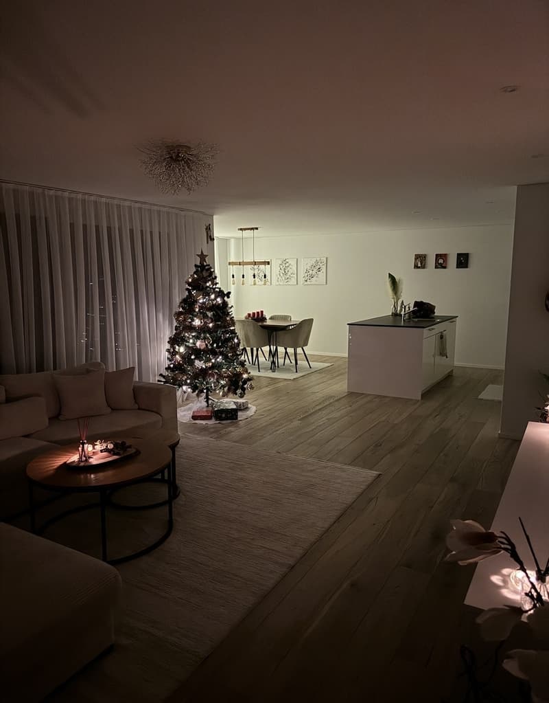 3 ½ Zimmer-Wohnung, 6234 Triengen (2)