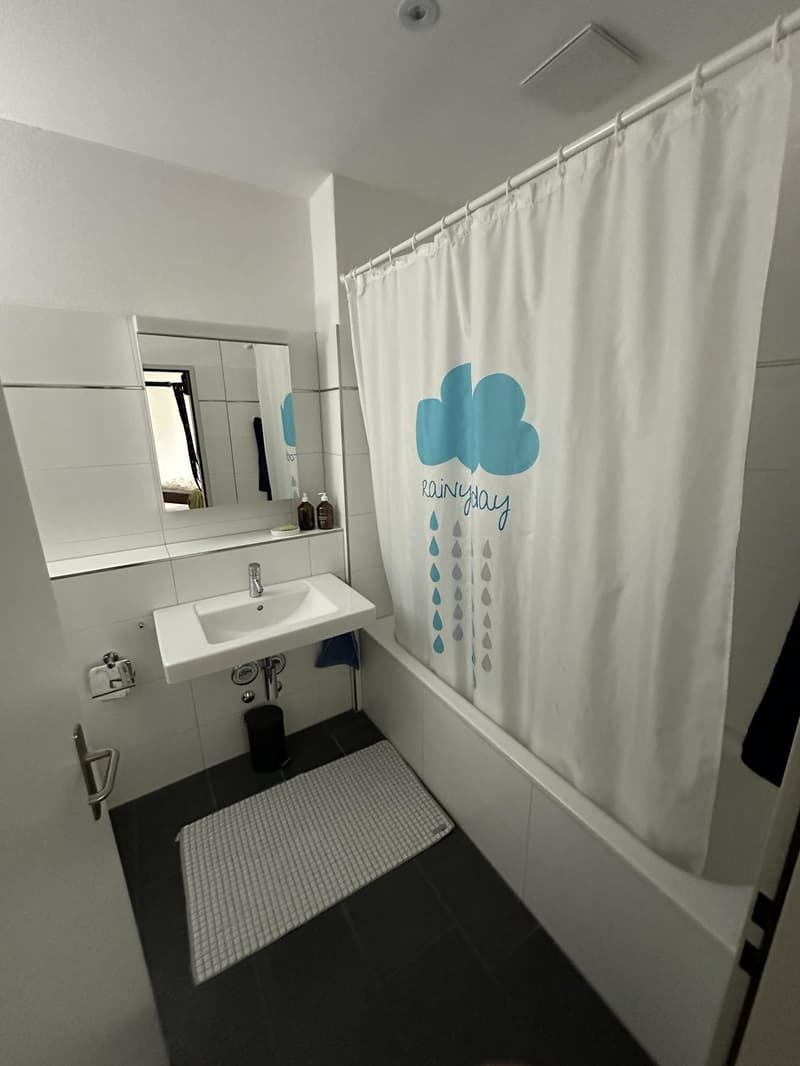 Modern 2.5-room apartment in Zurich Oerlikon  only 3 minutes from the train station (5)