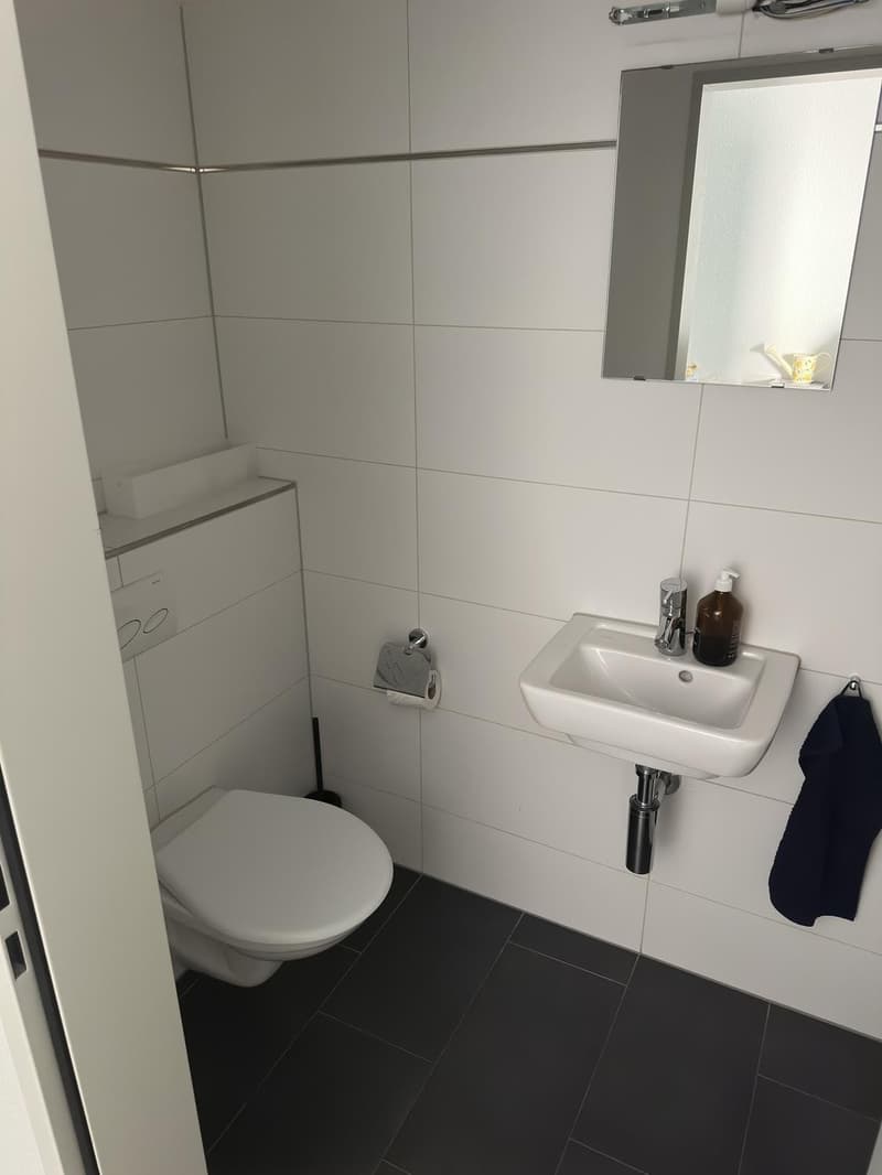 Modern 2.5-room apartment in Zurich Oerlikon  only 3 minutes from the train station (7)