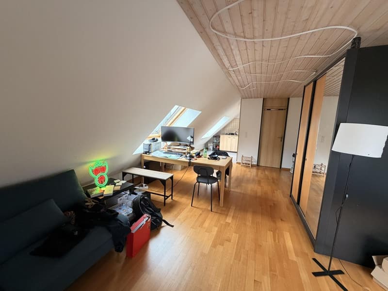 1.5-Zimmer-Wohnung, 54 m², Hirschmattquartier  5 Min. zum Bahnhof Luzern (3)