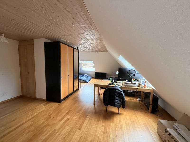 1.5-Zimmer-Wohnung, 54 m², Hirschmattquartier  5 Min. zum Bahnhof Luzern (2)