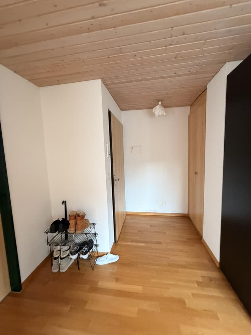 1.5-Zimmer-Wohnung, 54 m², Hirschmattquartier  5 Min. zum Bahnhof Luzern (4)