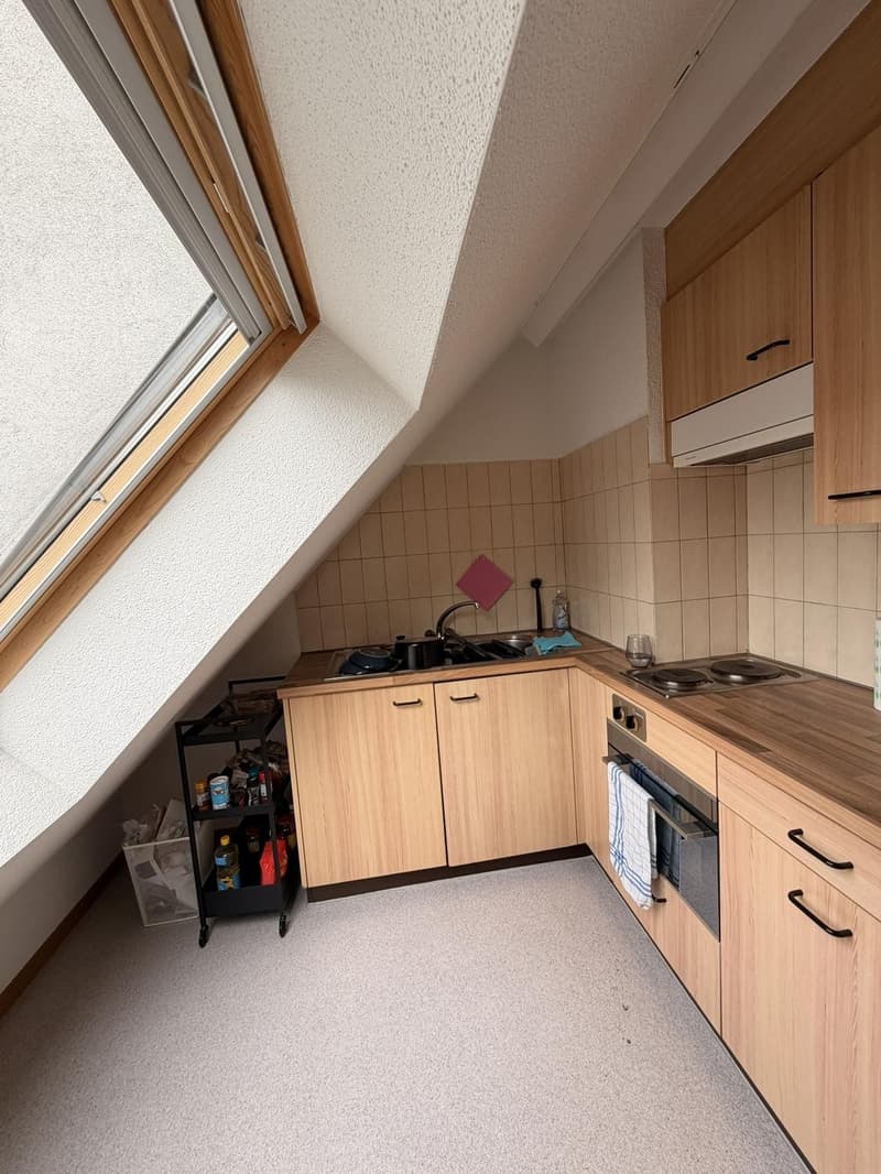 1.5-Zimmer-Wohnung, 54 m², Hirschmattquartier  5 Min. zum Bahnhof Luzern (5)