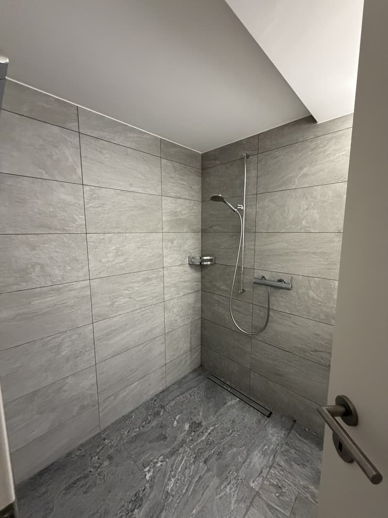 Wohnung in Meilen (3)