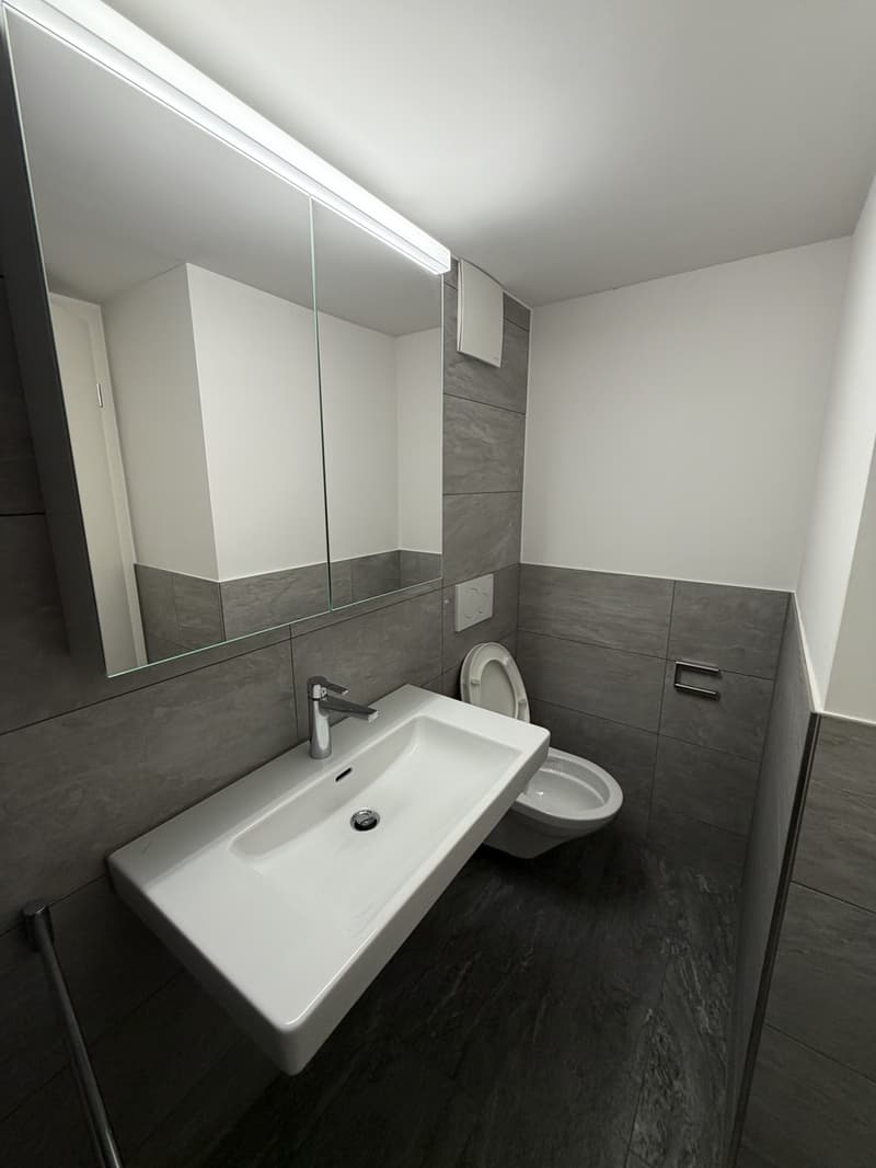 Wohnung in Meilen (4)