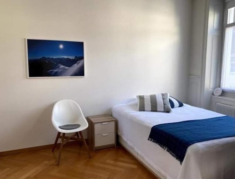 Furnished Studio / 1.5-Room Apartment in Zurich Old Town  Available from 16 October 2026 (3)