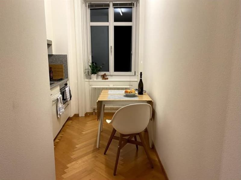 Furnished Studio / 1.5-Room Apartment in Zurich Old Town  Available from 16 October 2026 (5)