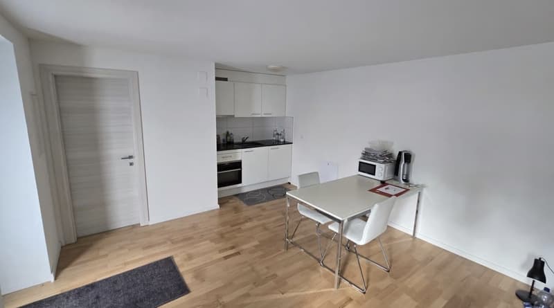 Gemütliche 1.5-Zimmer Wohnung in St. Gallen (3)