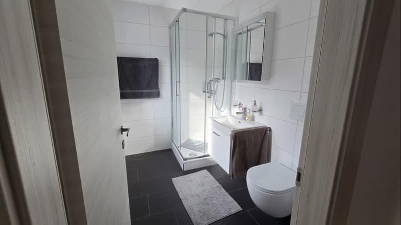Gemütliche 1.5-Zimmer Wohnung in St. Gallen (2)