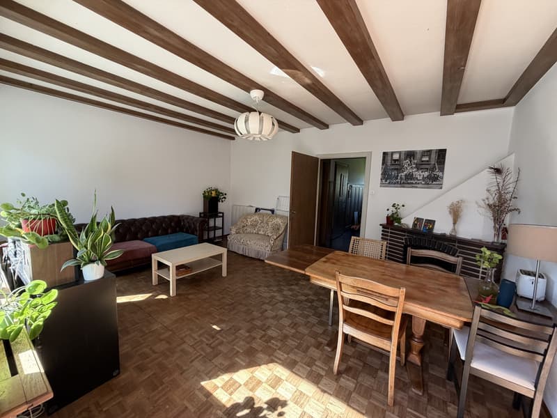 5.5 rooms flat in Sandrain, great for Student_WG (8)