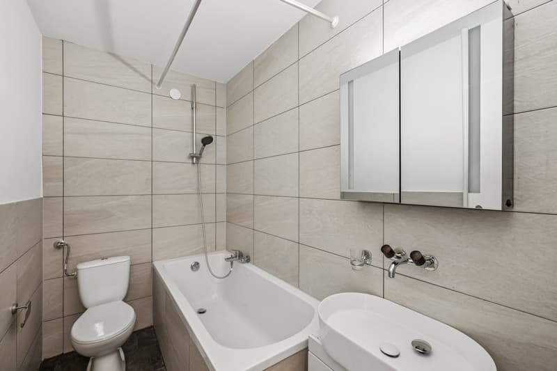 Appartement 2 pièces Bussigny (8)