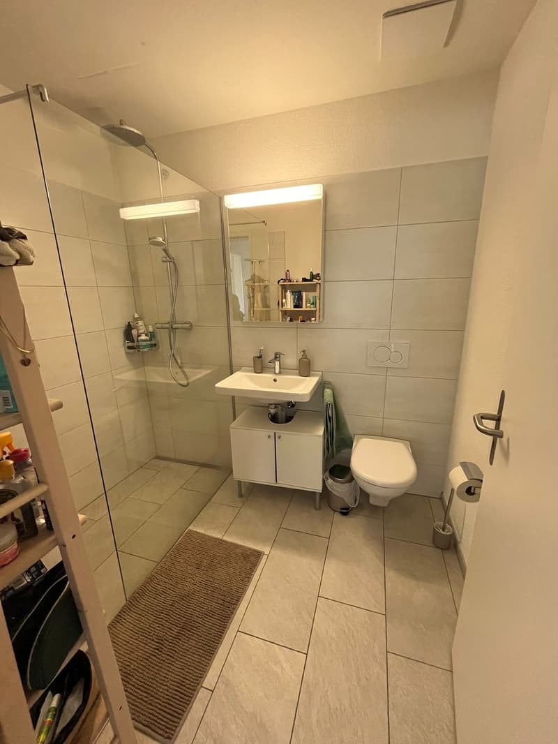 Fully Furnished 2.5-Room Apartment Zürich Oerlikon (5)
