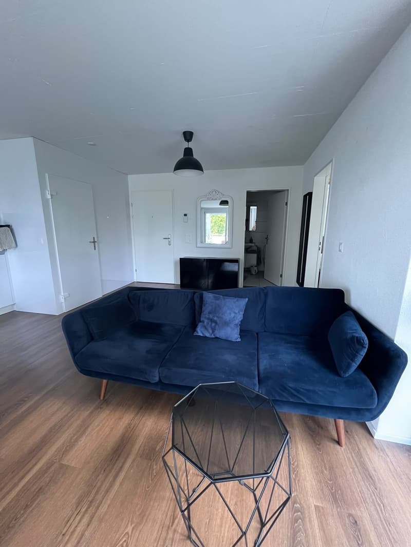 Fully Furnished 2.5-Room Apartment Zürich Oerlikon (2)
