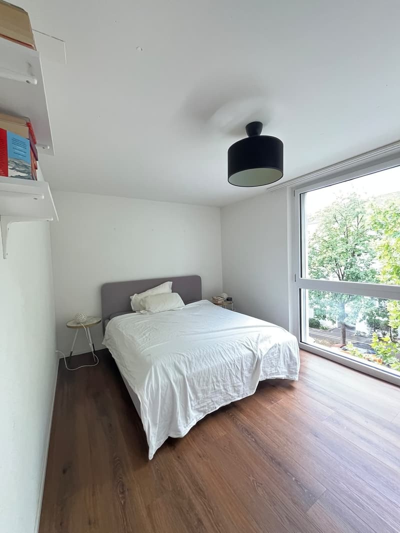 Fully Furnished 2.5-Room Apartment Zürich Oerlikon (7)