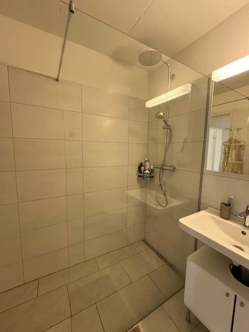Fully Furnished 2.5-Room Apartment Zürich Oerlikon (6)